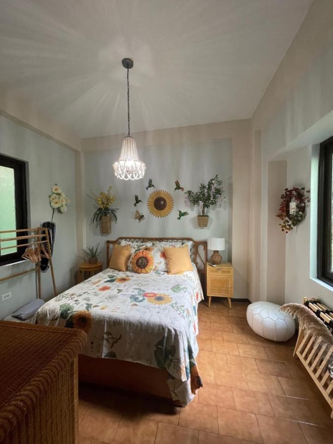 The Garden Apartment, The Willow Apartment, & The Tropical Apartment At Casa Of Essence In Old San Juan Exterior foto